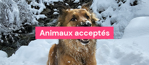 Animaux Acceptés
